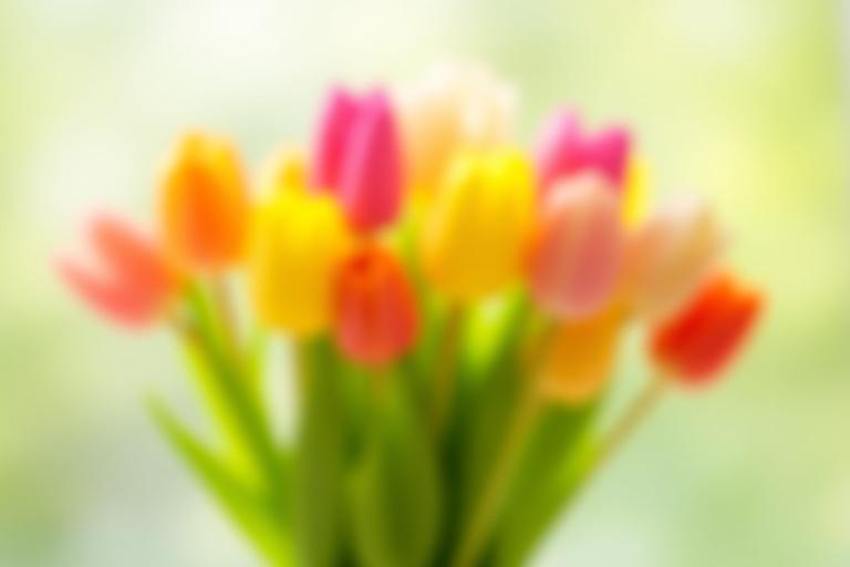 Fröhlicher Frühlingsstrauß mit bunten Tulpen und Grün, ideal für einen Geburtstag.